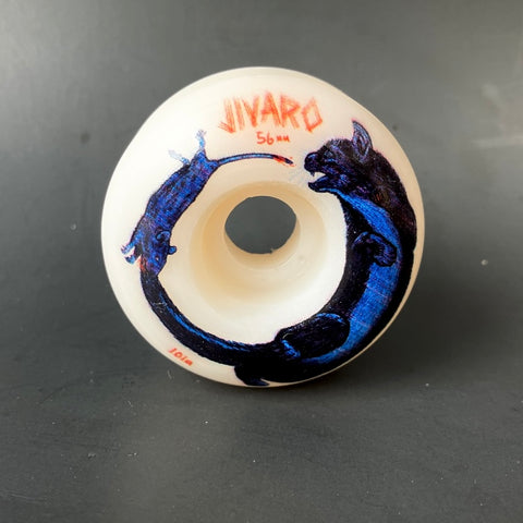 56 JIVARO “Gato Rato”